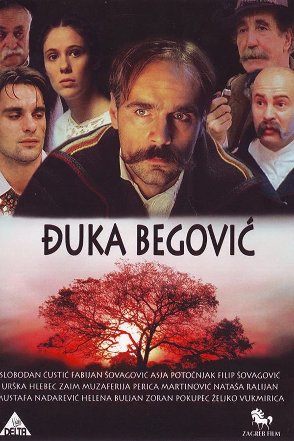 Poster filma ili serije Đuka Begović (1991)