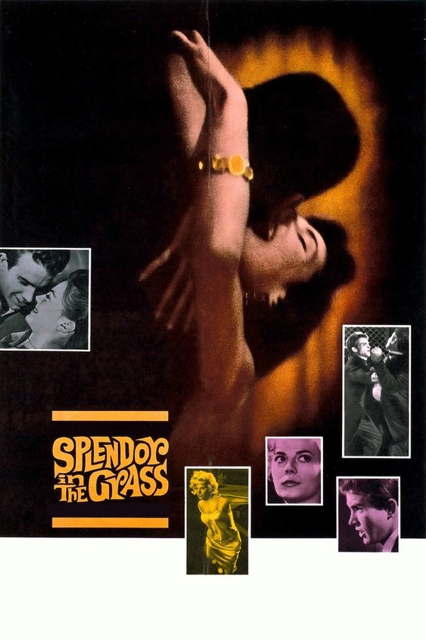 Poster filma ili serije Splendor in the Grass (1961)