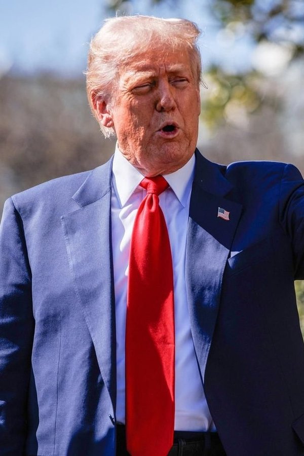 Poster filma ili serije Trump - Er ist wieder da (2025)