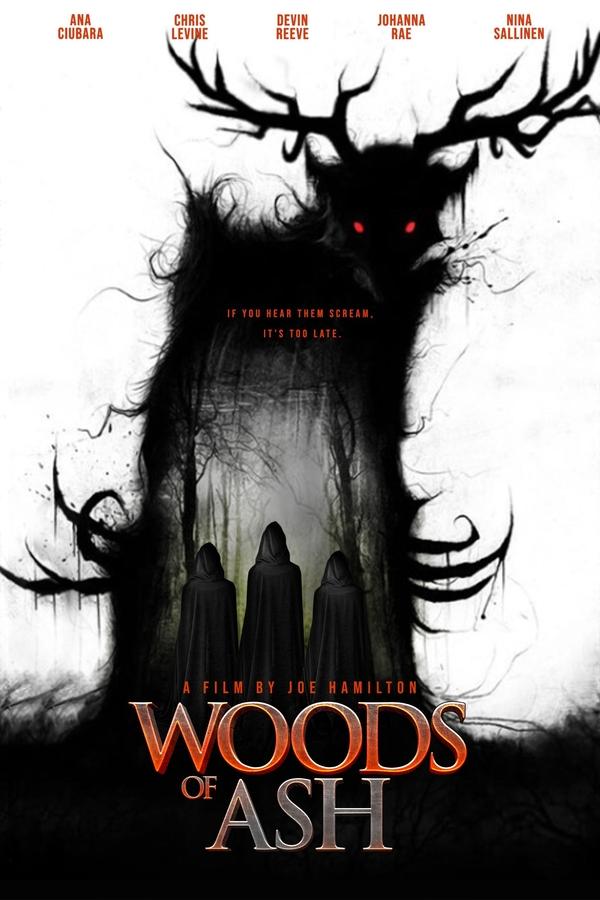 Poster filma ili serije Woods of Ash (2025)