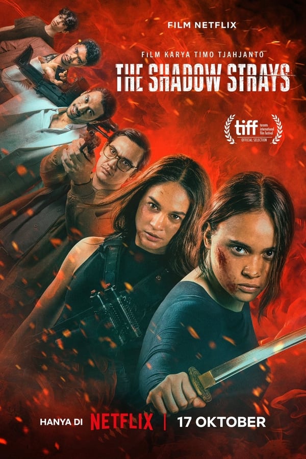 Poster filma ili serije The Shadow Strays (2024)