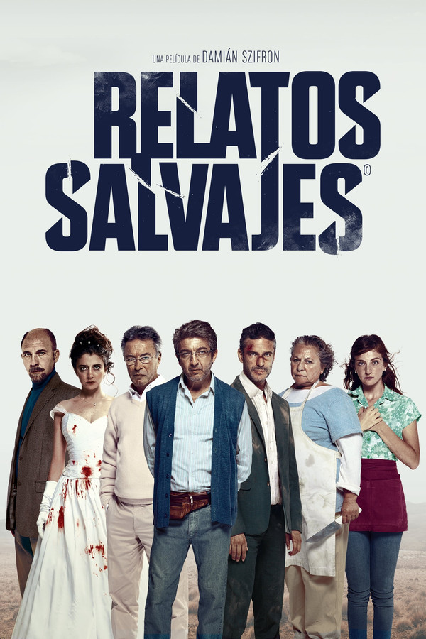 Poster filma ili serije Divlje priče (2014)