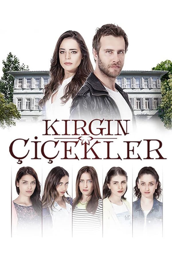 Poster serije Kırgın Çiçekler (2015)
