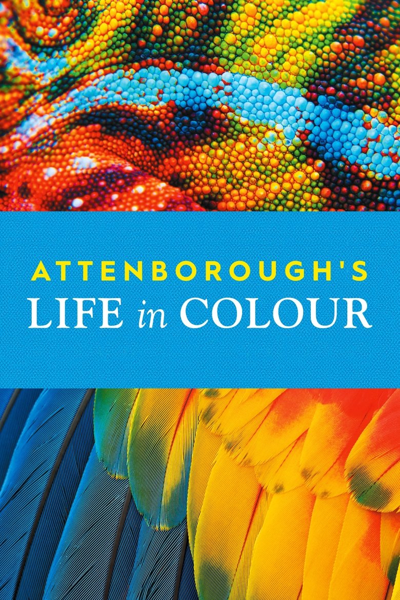 Poster serije Attenborough's Life in Colour (2021)